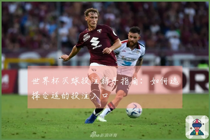 世界杯买球投注新手指南：如何选择合适的投注入口