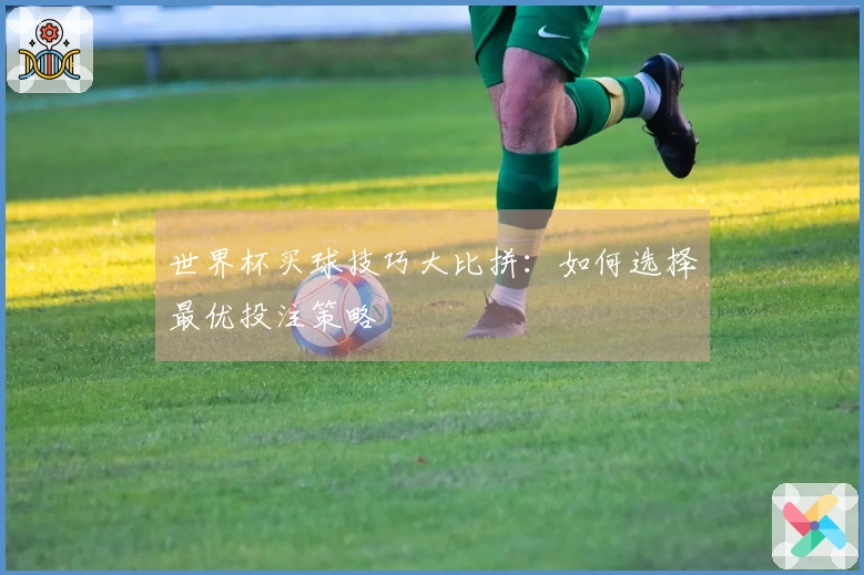 世界杯买球技巧大比拼：如何选择最优投注策略