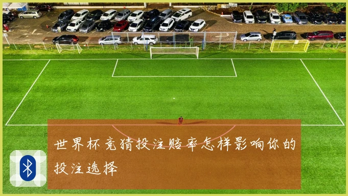世界杯竞猜投注赔率怎样影响你的投注选择
