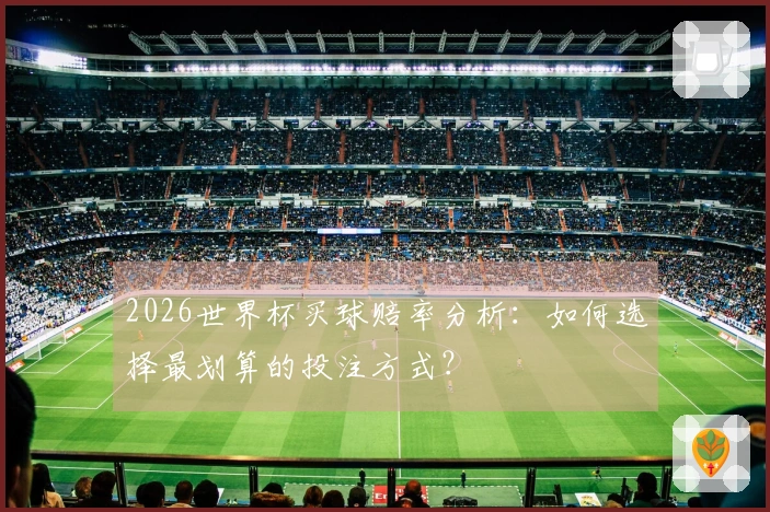 2026世界杯买球赔率分析：如何选择最划算的投注方式？
