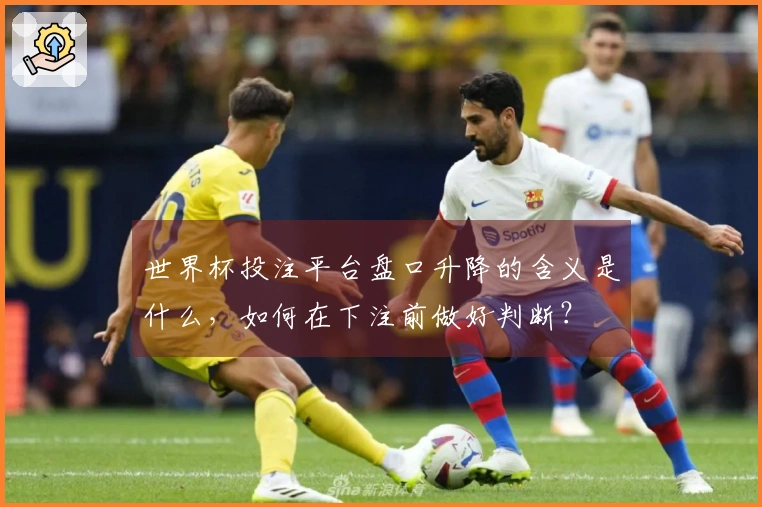 世界杯投注平台盘口升降的含义是什么，如何在下注前做好判断？