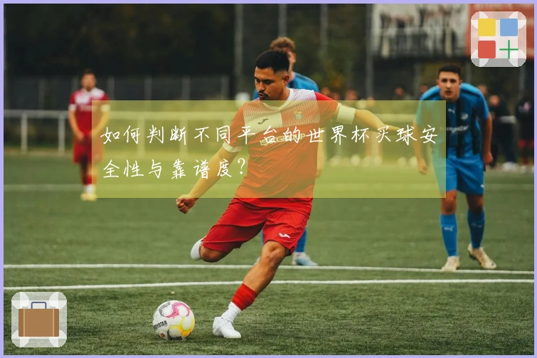 如何判断不同平台的世界杯买球安全性与靠谱度？