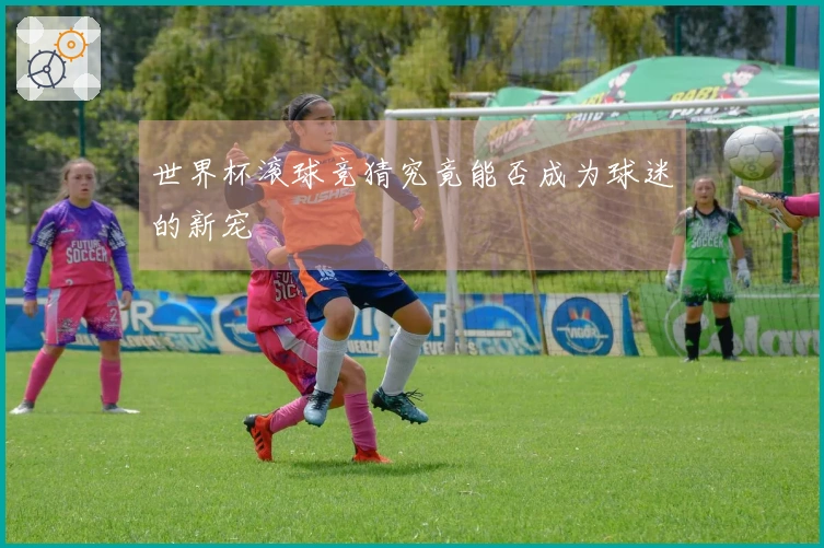 世界杯滚球竞猜究竟能否成为球迷的新宠