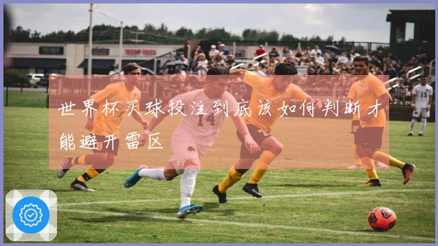 世界杯买球投注到底该如何判断才能避开雷区