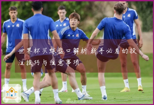 世界杯买球盘口解析 新手必看的投注技巧与注意事项