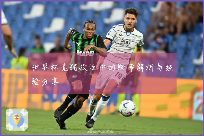 世界杯竞猜投注中的赔率解析与经验分享