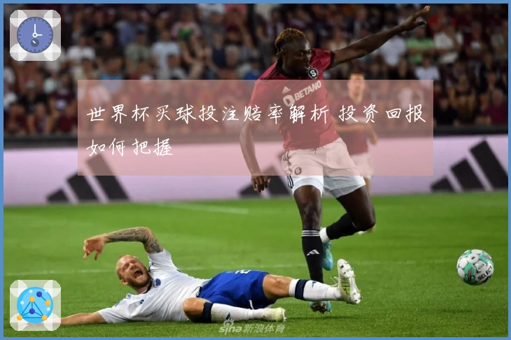 世界杯买球投注赔率解析 投资回报如何把握