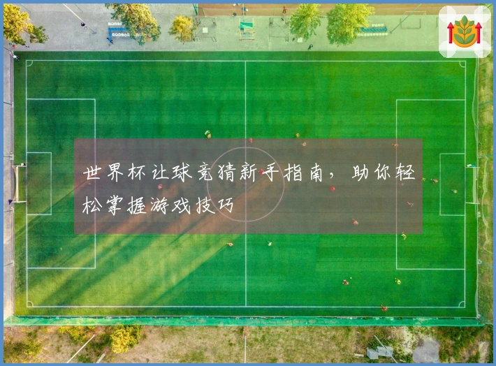 世界杯让球竞猜新手指南，助你轻松掌握游戏技巧