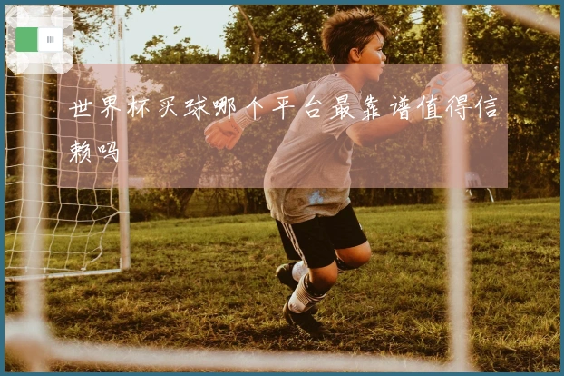 世界杯买球哪个平台最靠谱值得信赖吗