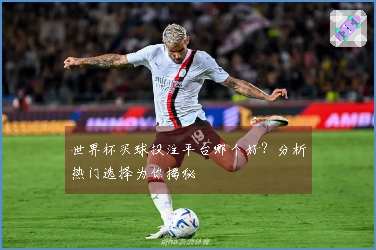 世界杯买球投注平台哪个好？分析热门选择为你揭秘