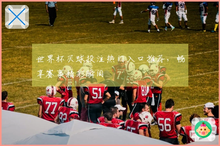 世界杯买球投注热门入口推荐，畅享赛事精彩瞬间