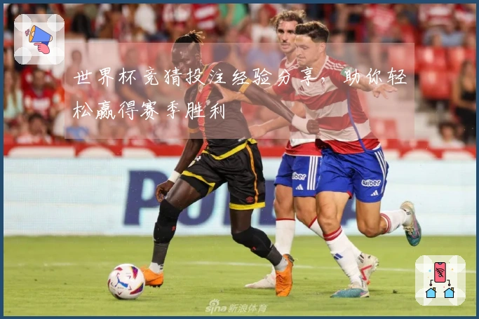 世界杯竞猜投注经验分享，助你轻松赢得赛季胜利