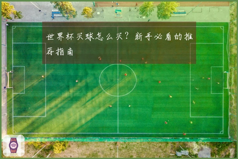 世界杯买球怎么买？新手必看的推荐指南
