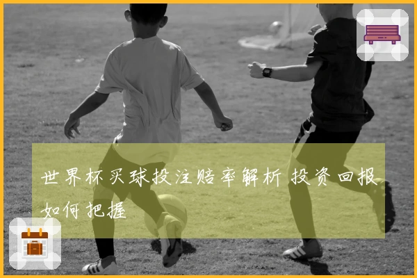 世界杯买球投注赔率解析 投资回报如何把握