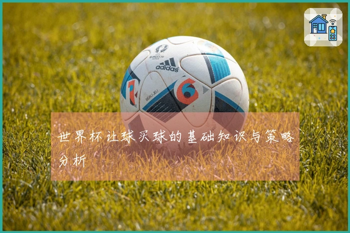 世界杯让球买球的基础知识与策略分析