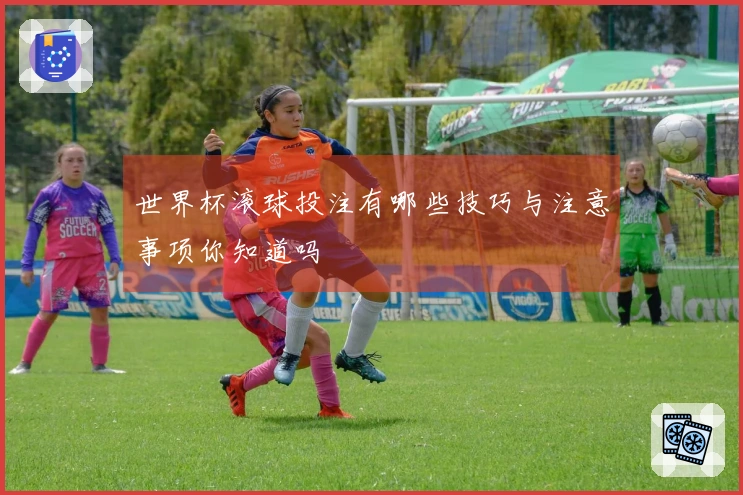 世界杯滚球投注有哪些技巧与注意事项你知道吗