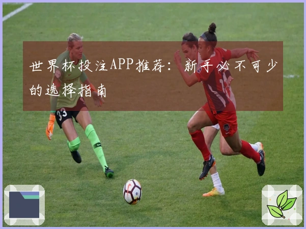 世界杯投注APP推荐：新手必不可少的选择指南