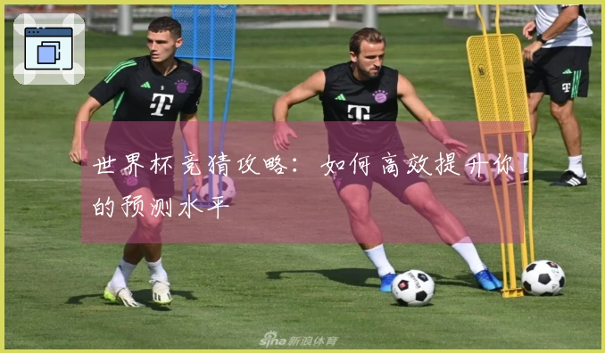 世界杯竞猜攻略：如何高效提升你的预测水平