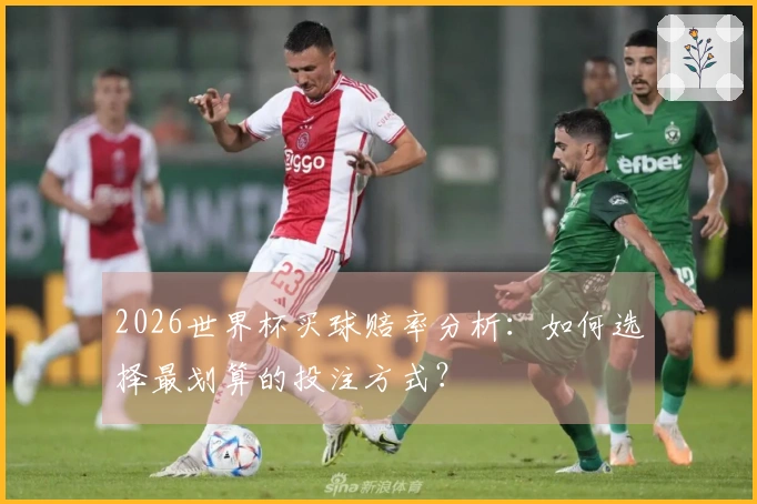 2026世界杯买球赔率分析：如何选择最划算的投注方式？