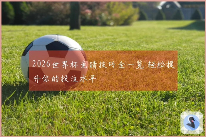 2026世界杯竞猜技巧全一览 轻松提升你的投注水平